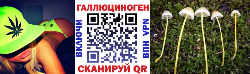 купить   Рузаевка  Галлюциногенные грибы Psilocybe 