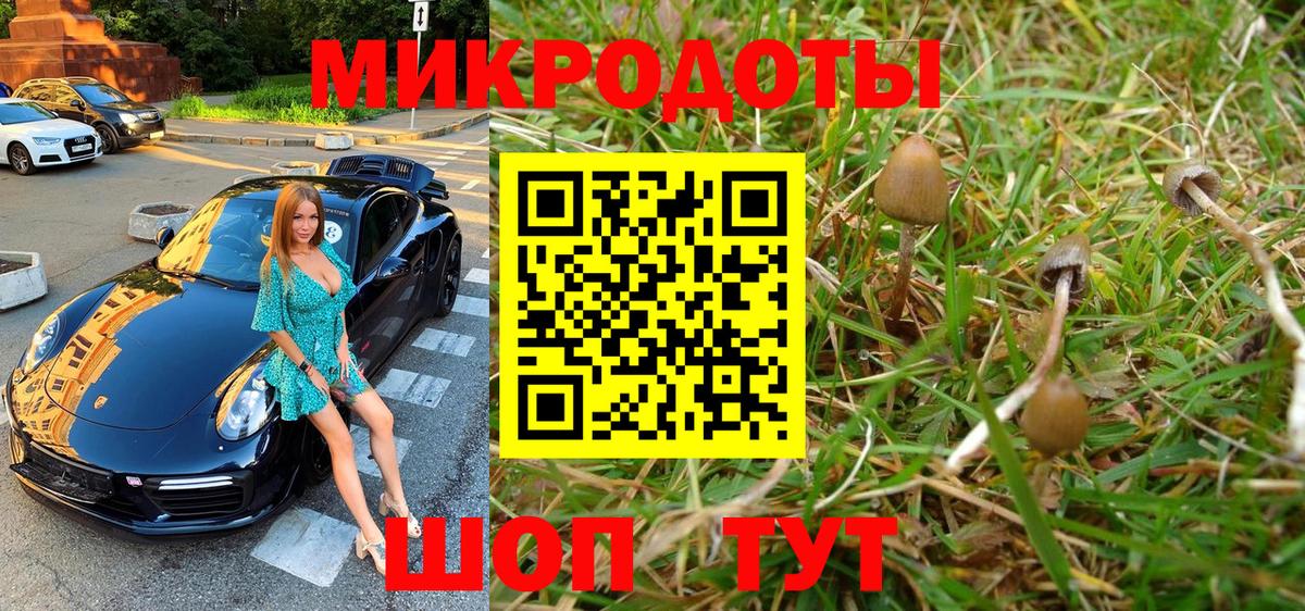Псилоцибиновые грибы Psilocybe  Вход с VPN  закладки  Рузаевка 